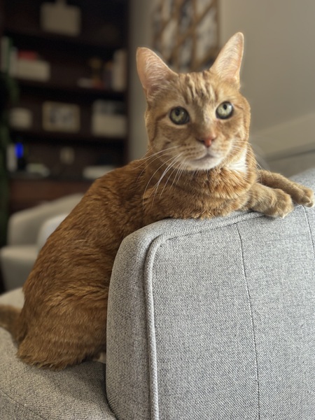 Nick