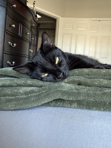 Suki