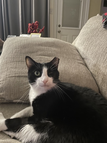Baxter 