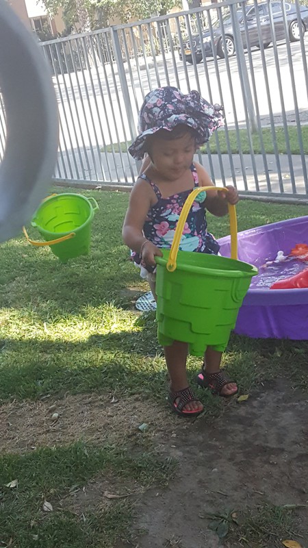 Bucket full of cuteness 