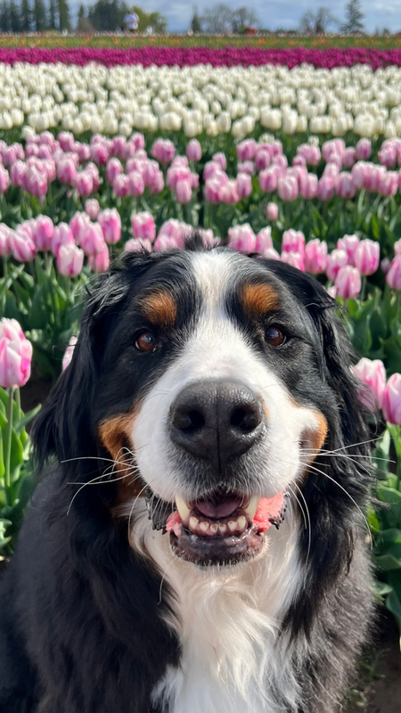 Entry image for Love. Clicking this image will show a larger photo