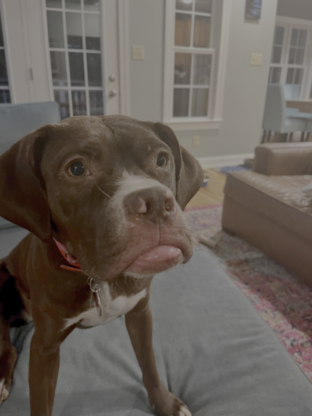 Rosie