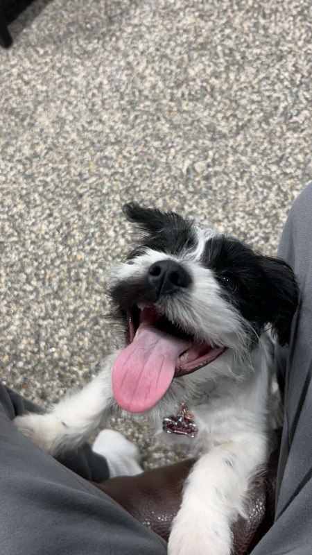 Nala 