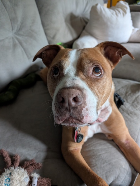 Sam