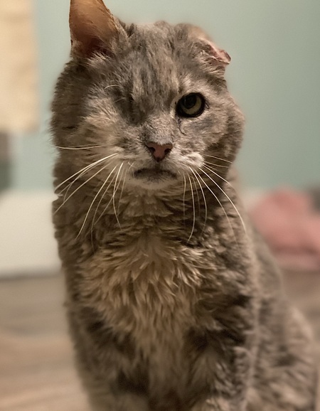 Merle