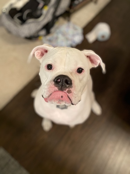 Luna B Jones