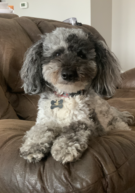 Zeke