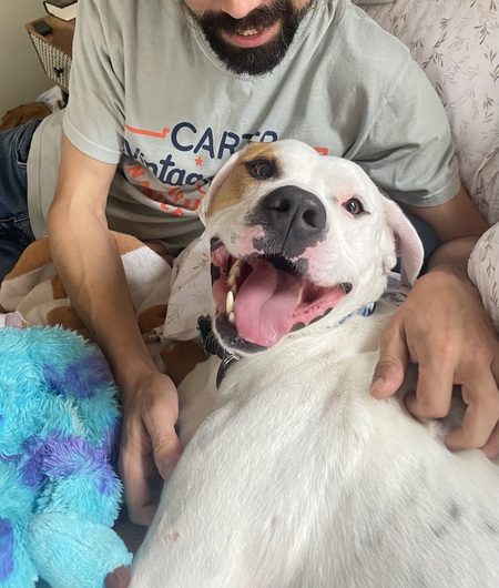 Archie