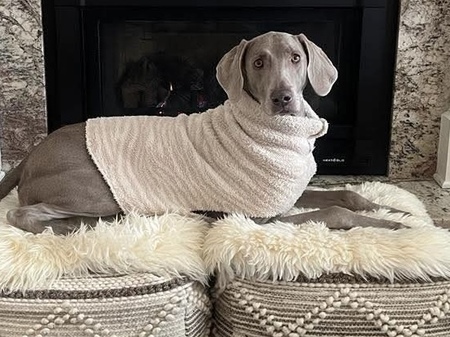 Sophie