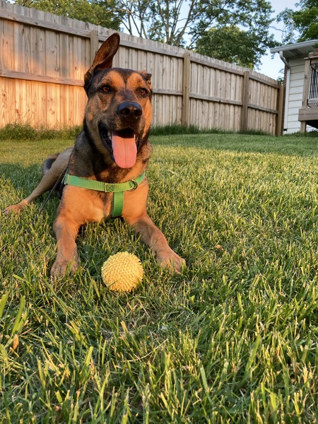Odin 