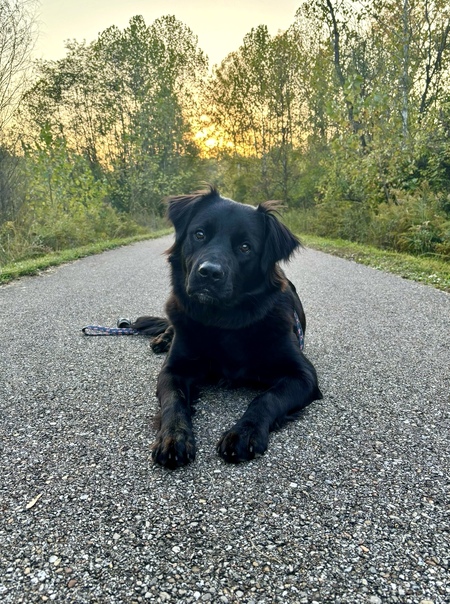 Gus