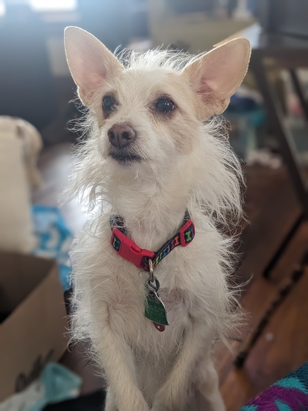 Rupert 