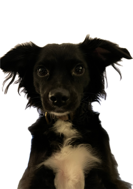 Cosmo