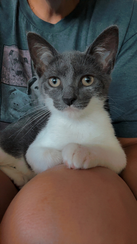 Mia