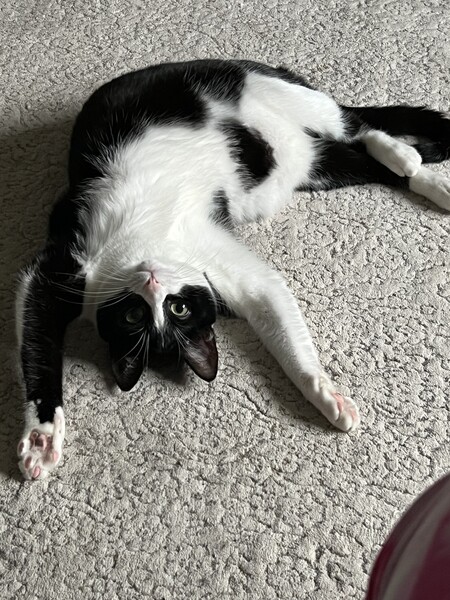 Carl