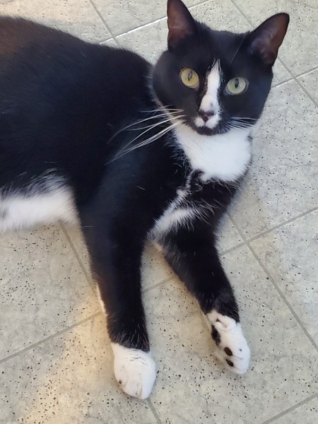 Zina 