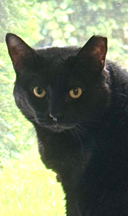 Salvador