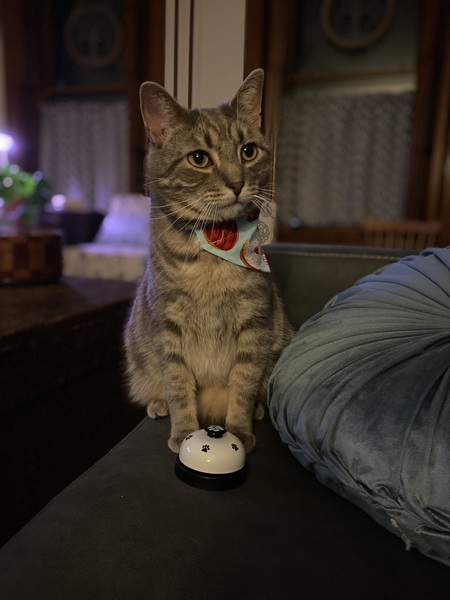 Parker (aka Pauly Donuts)