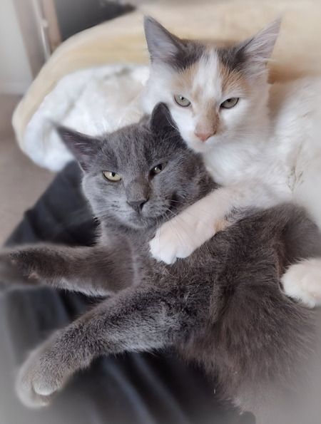 Clive and Ivy