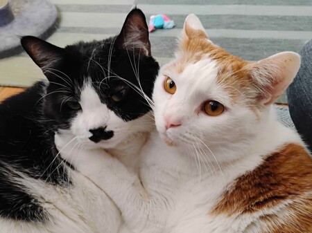 Josh and Charlie