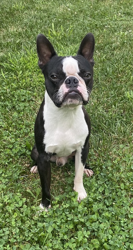 Mason