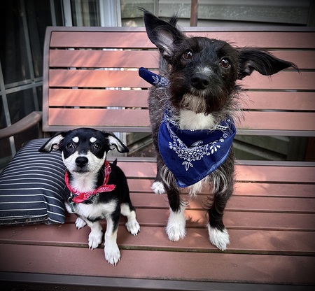 Ted & Gus