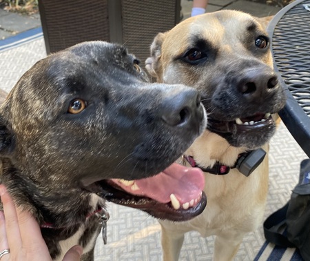 Rizzo & Cleo