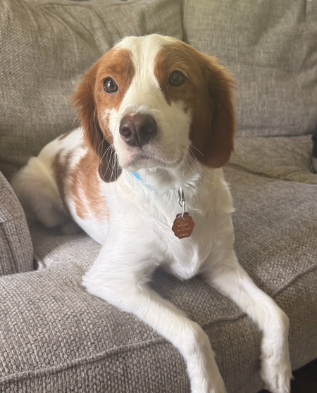 Charlie