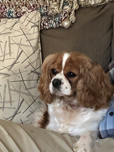 Lucy