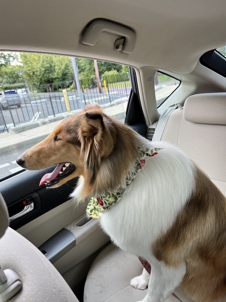 Fiona