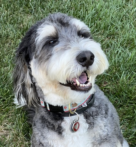 Charlie