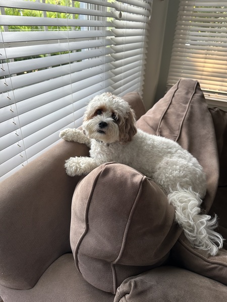 Millie