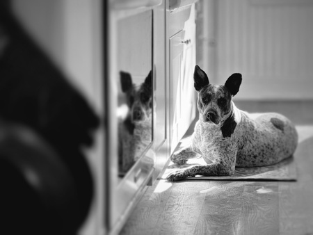 Libby