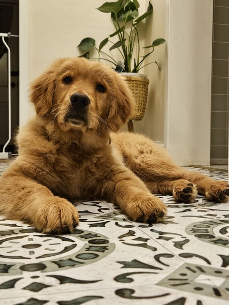 Bailey