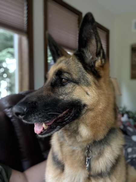 Stella Bean