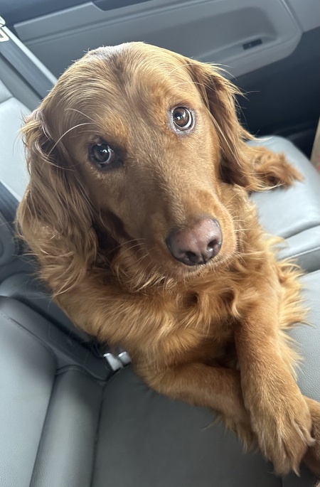 Rosie