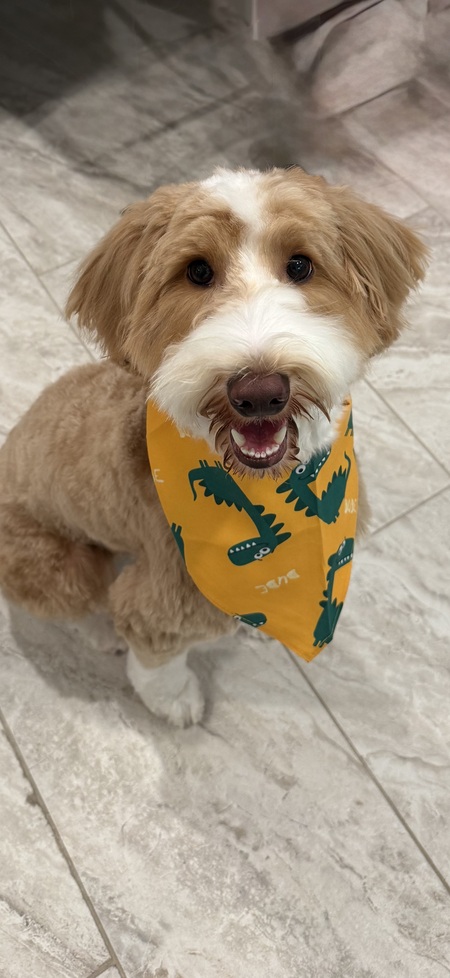 Hobbes