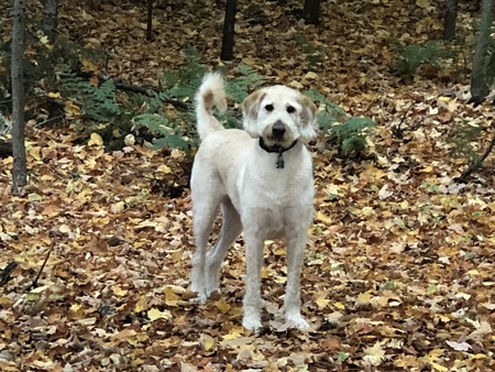 Duncan
