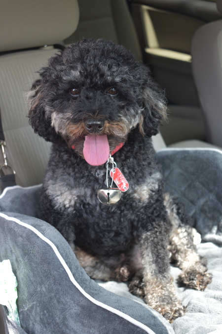 Barkley