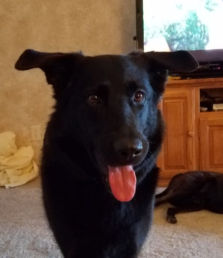 Maggie