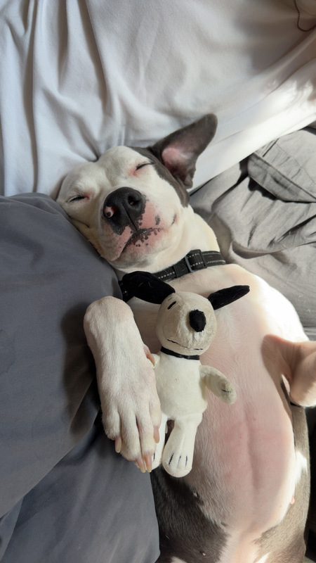 Bugsy