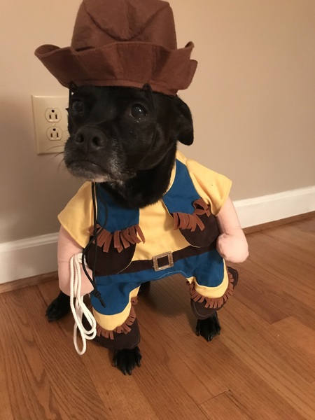 Jack