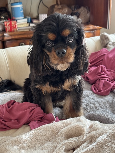 Benny