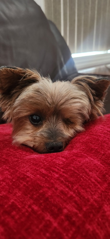 Jack