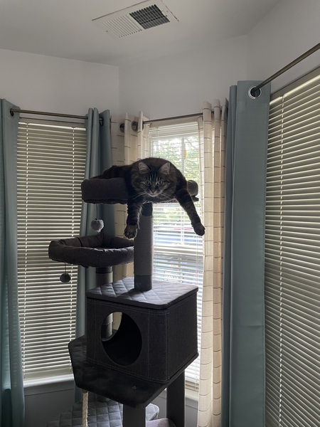 Kiki