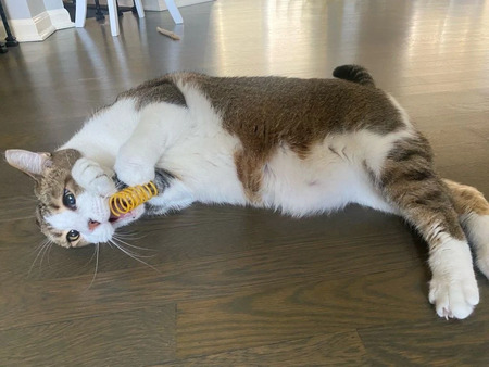 Tyson