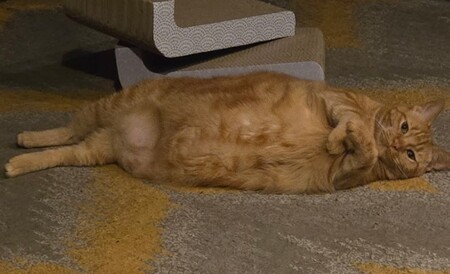Crouton