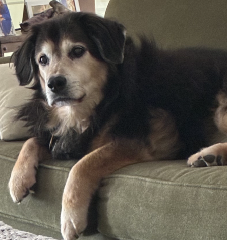 Sam