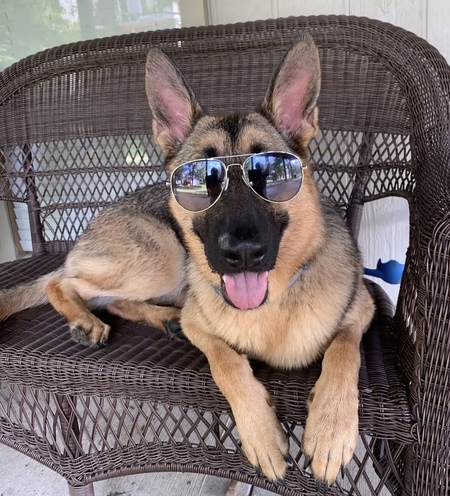 Finn