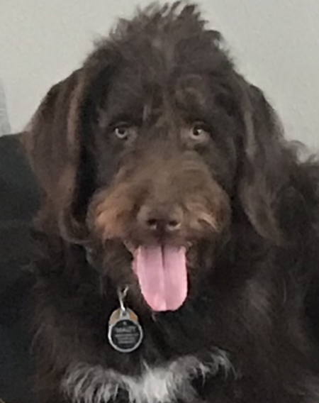 Maizy